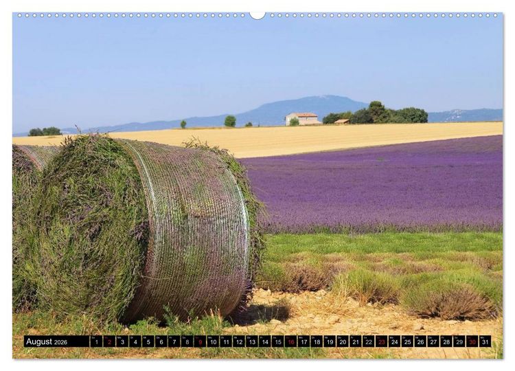 Produktbild: Lavendel (hochwertiger Premium Wandkalender 2026 DIN A2 quer), Kunstdruck in Hochglanz