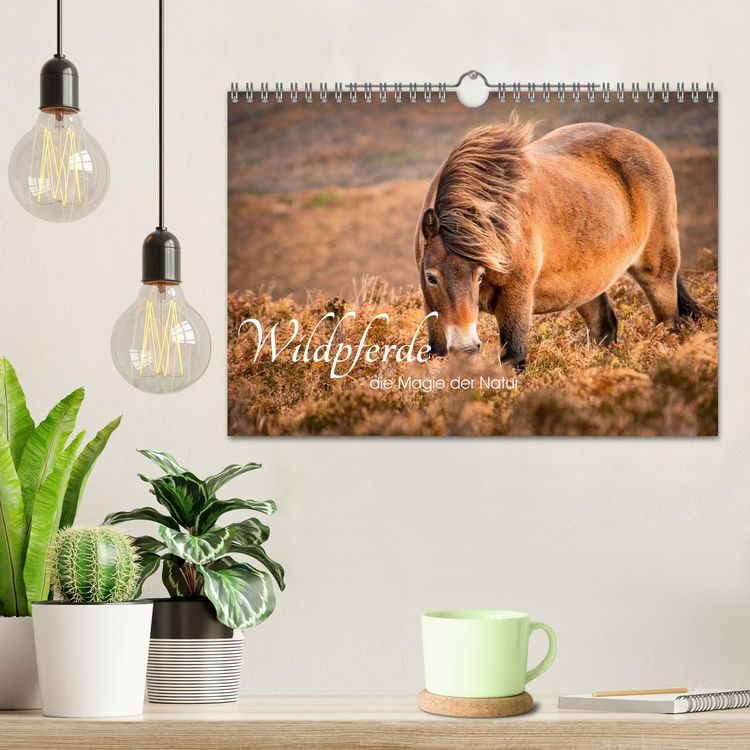 Produktbild: Wildperde - die Magie der Natur (Wandkalender 2026 DIN A4 quer), CALVENDO Monatskalender