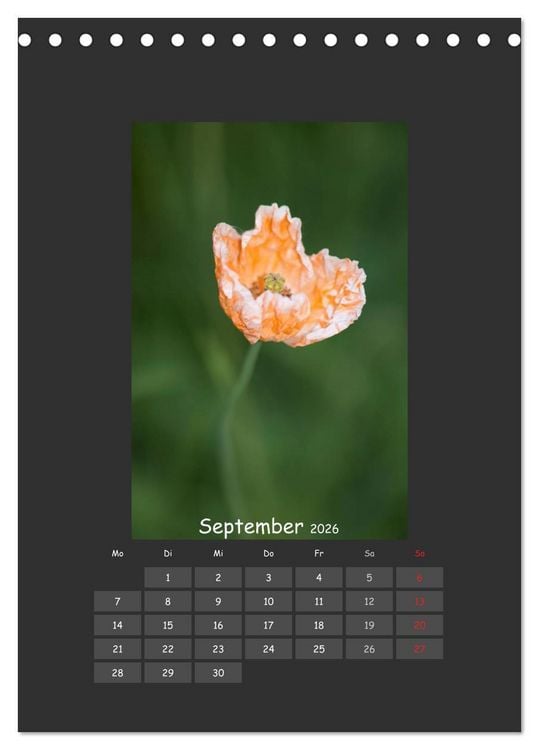 Produktbild: Mohn (Tischkalender 2026 DIN A5 hoch), CALVENDO Monatskalender