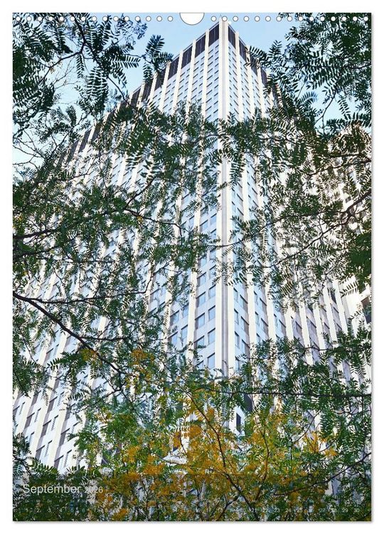Produktbild: New York - the WOW-city (Wandkalender 2026 DIN A3 hoch), CALVENDO Monatskalender