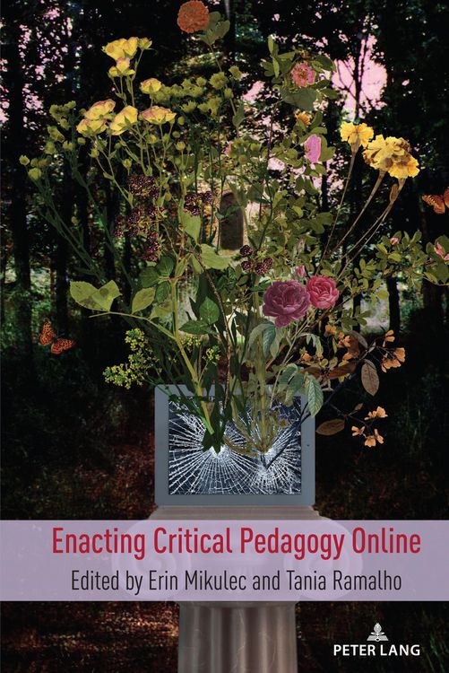 Produktbild: Enacting Critical Pedagogy Online