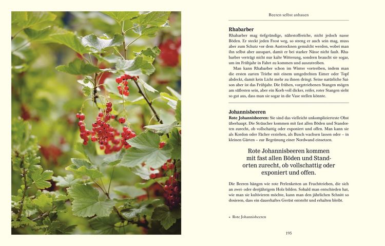 Produktbild: &Uuml;ber das G&auml;rtnern