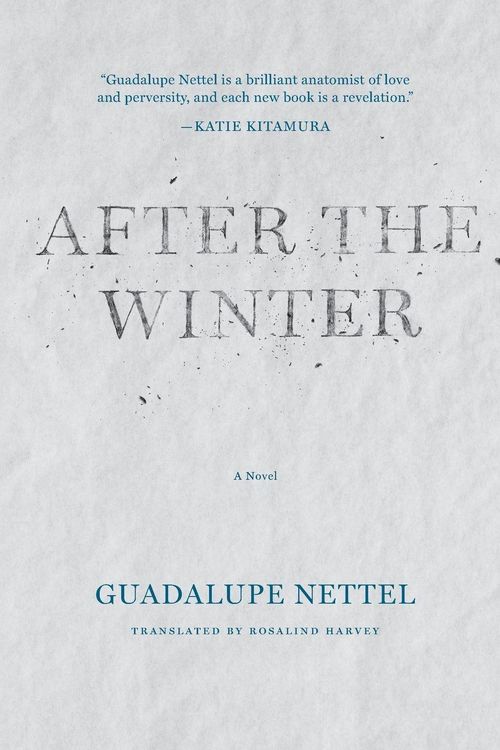 Produktbild: After the Winter