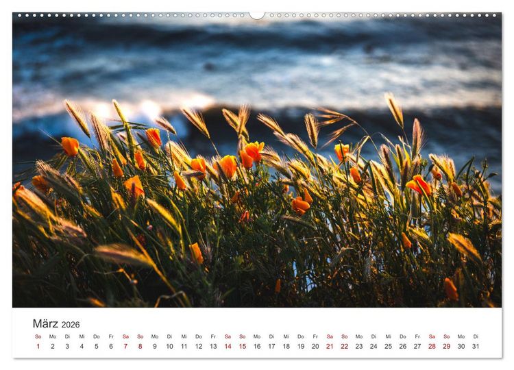 Produktbild: Die magische Welt der Blumen (hochwertiger Premium Wandkalender 2026 DIN A2 quer), Kunstdruck in Hochglanz