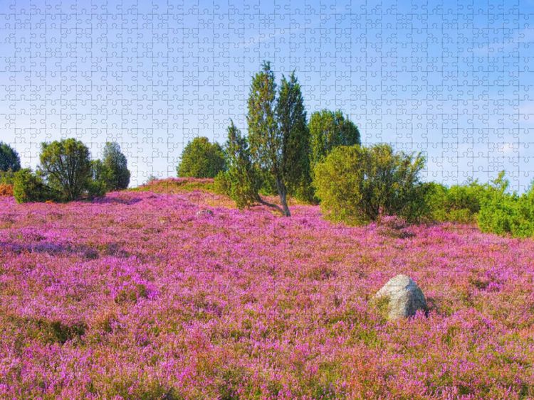 Produktbild: CALVENDO Puzzle L&uuml;neburger Heide | 1000 Teile Lege-Gr&ouml;&szlig;e 64x48cm Foto-Puzzle f&uuml;r gl&uuml;ckliche Stunden