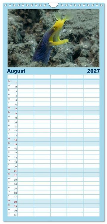 Produktbild: Familienplaner 2027 - Faszination blaue Unterwasserwelt mit 5 Spalten (Wandkalender, 21 x 45 cm) CALVENDO