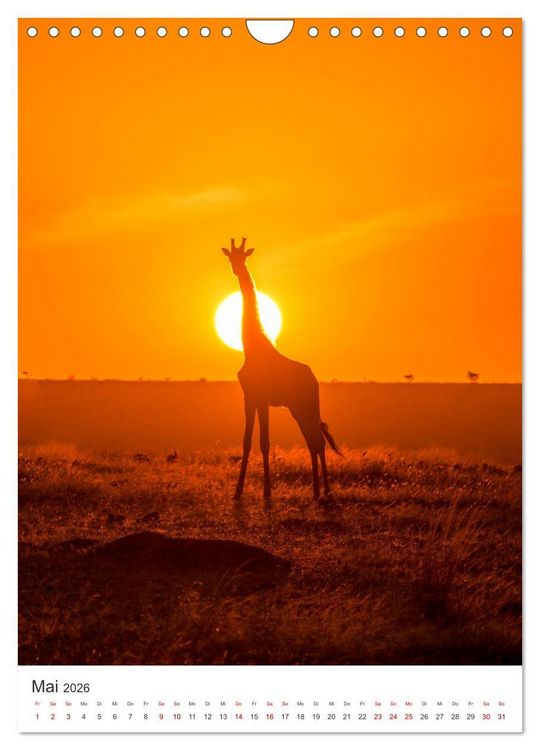 Produktbild: Giraffe - Bemerkenswerte Tiere. (Wandkalender 2026 DIN A4 hoch), CALVENDO Monatskalender