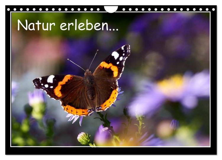 Produktbild: Natur erleben... (Wandkalender 2027 DIN A4 quer), CALVENDO Monatskalender