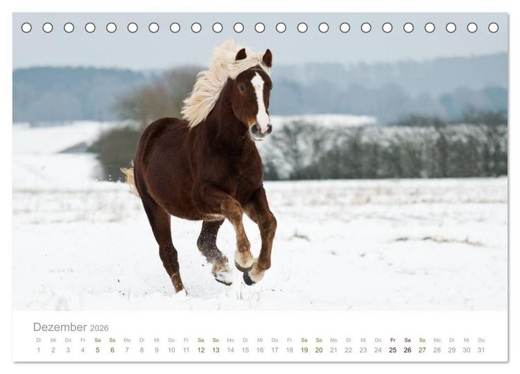 Produktbild: Faszination Schwarzw&auml;lder Kaltblut (Tischkalender 2026 DIN A5 quer), CALVENDO Monatskalender