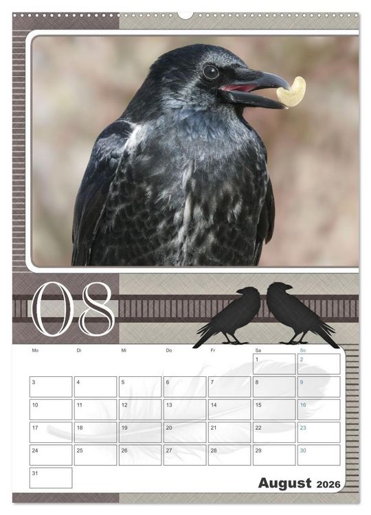 Produktbild: Kr&auml;hen - Clever notiert! Mit K&ouml;pfchen durchs ganze Jahr (hochwertiger Premium Wandkalender 2026 DIN A2 hoch), Kunstdruck in Hochglanz