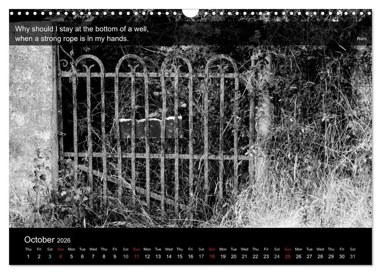 Produktbild: Through the Gate with Rumi (Wall Calendar 2026 DIN A3 landscape), CALVENDO 12 Month Wall Calendar