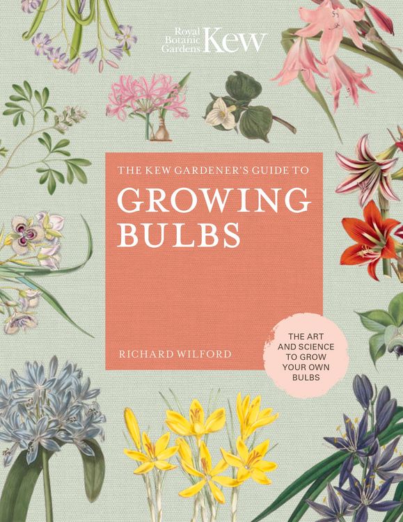 Produktbild: The Kew Gardener's Guide to Growing Bulbs