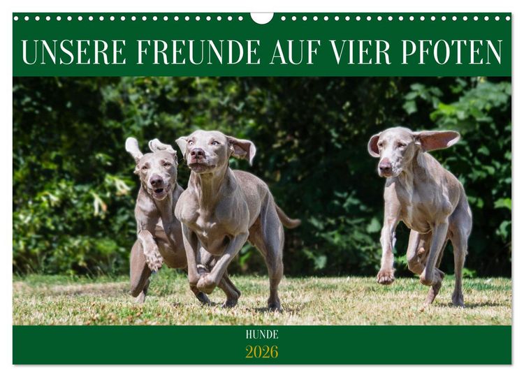 Produktbild: Unsere Freunde auf vier Pfoten - Hunde (Wandkalender 2026 DIN A3 quer), CALVENDO Monatskalender