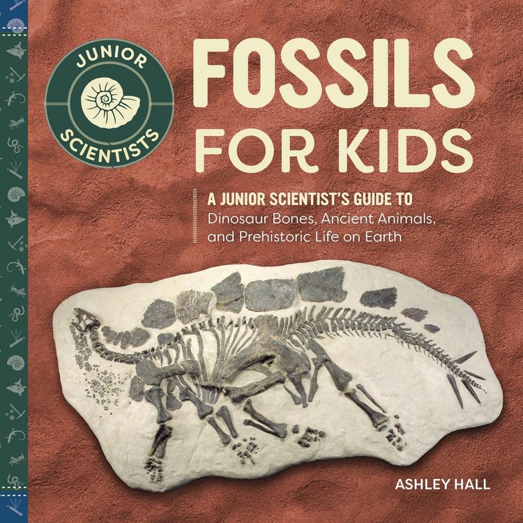 Produktbild: Fossils for Kids