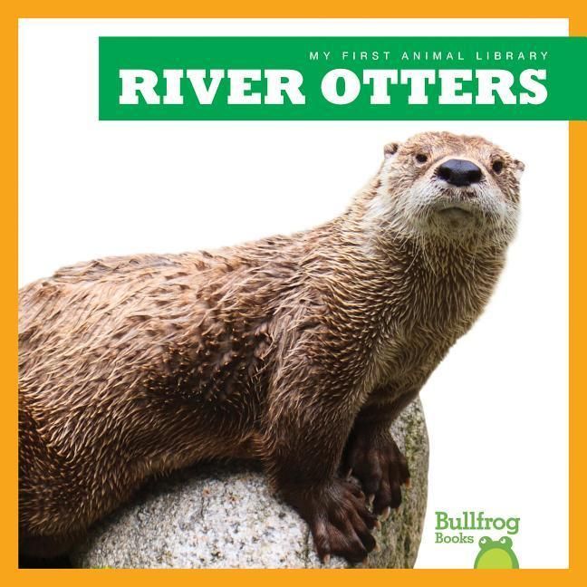 Produktbild: River Otters