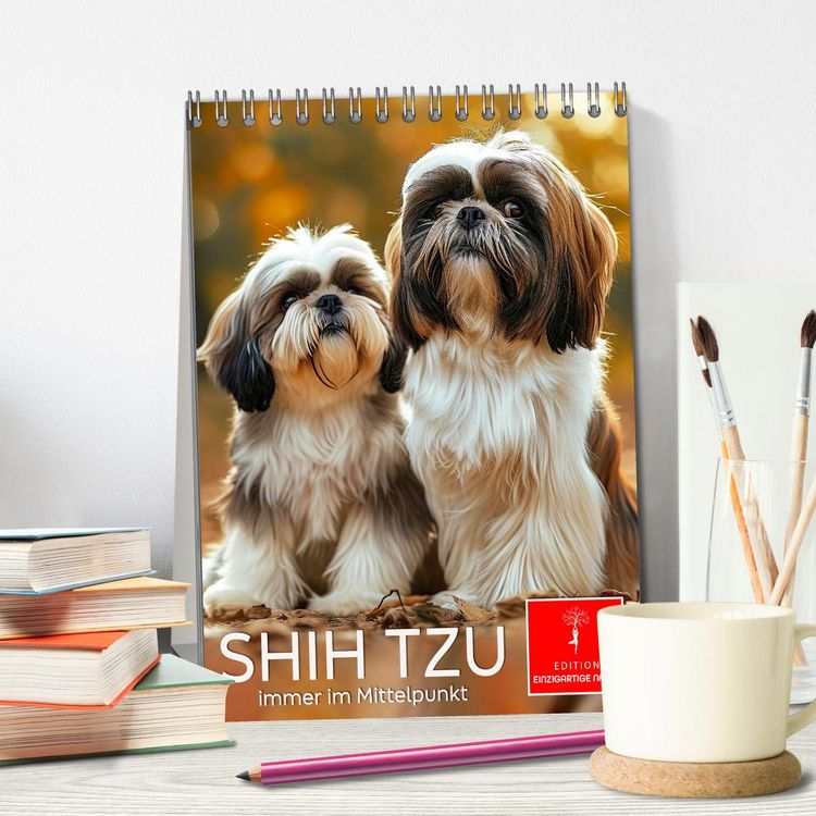 Produktbild: Shih Tzu - immer im Mittelpunkt (Tischkalender 2026 DIN A5 hoch), CALVENDO Monatskalender
