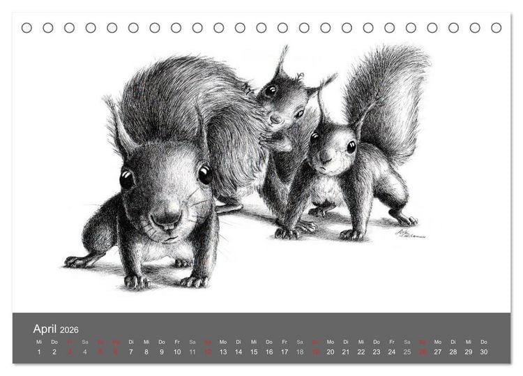 Produktbild: owls & friends 2026 (Tischkalender 2026 DIN A5 quer), CALVENDO Monatskalender