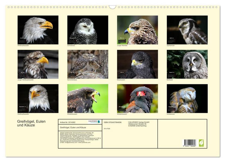 Produktbild: Greifv&ouml;gel, Eulen und K&auml;uze (Wandkalender 2026 DIN A2 quer), CALVENDO Monatskalender