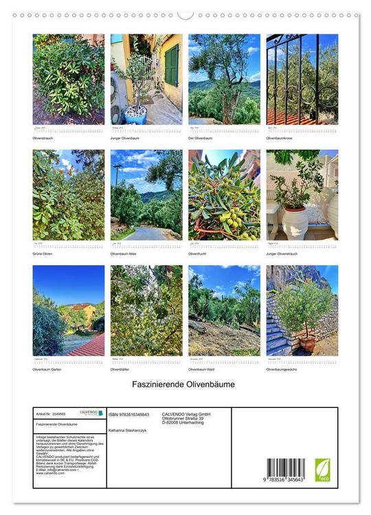 Produktbild: Faszinierende Olivenb&auml;ume (hochwertiger Premium Wandkalender 2026 DIN A2 hoch), Kunstdruck in Hochglanz