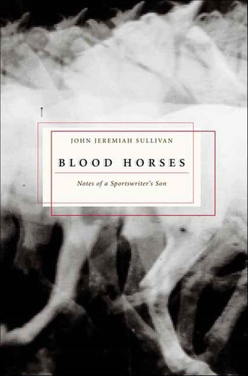 Produktbild: Blood Horses