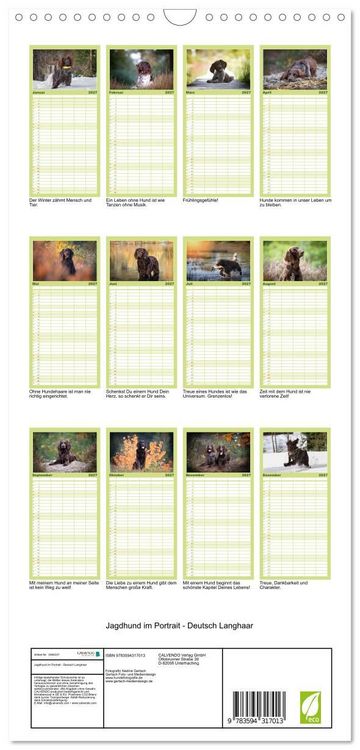 Produktbild: Familienplaner 2027 - Jagdhund im Portrait - Deutsch Langhaar mit 5 Spalten (Wandkalender, 21 x 45 cm) CALVENDO