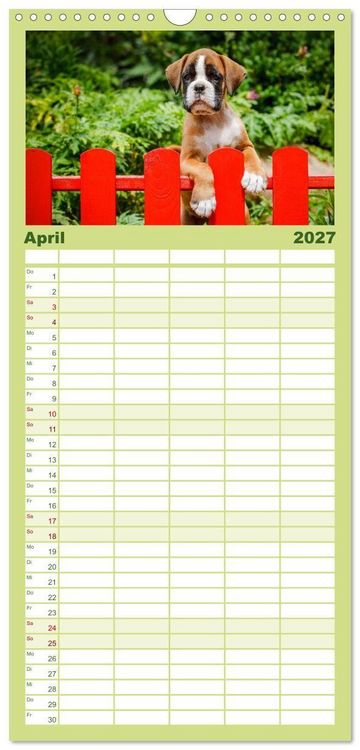 Produktbild: Familienplaner 2027 - Wenn ich gro&szlig; bin werd' ich Boxer mit 5 Spalten (Wandkalender, 21 x 45 cm) CALVENDO