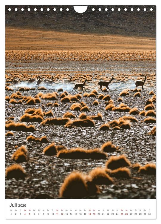 Produktbild: Chile - Ein Land mit unglaublicher Vielfalt. (Wandkalender 2026 DIN A4 hoch), CALVENDO Monatskalender