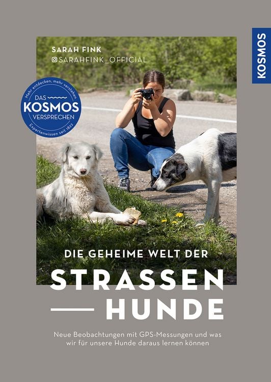 Produktbild: Die geheime Welt der Straßenhunde