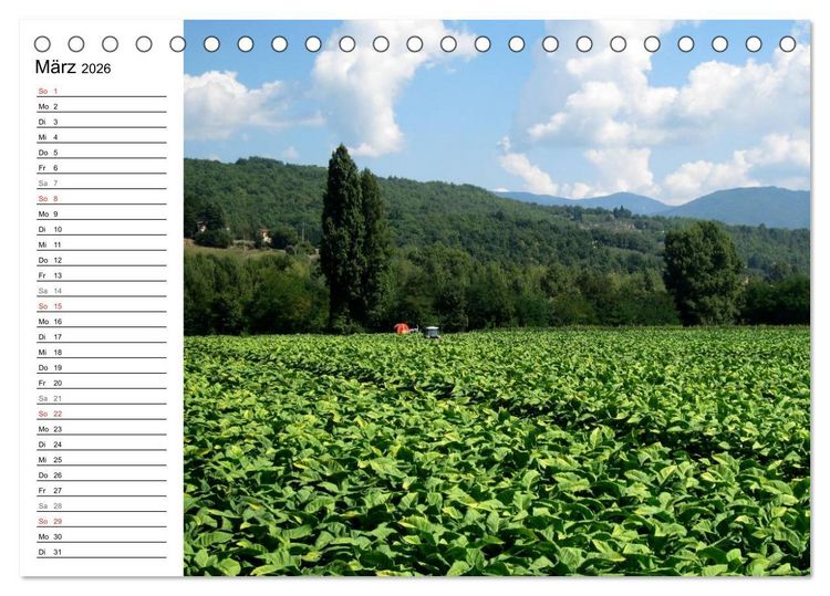 Produktbild: Camino di Assisi - Franziskusweg (Tischkalender 2026 DIN A5 quer), CALVENDO Monatskalender