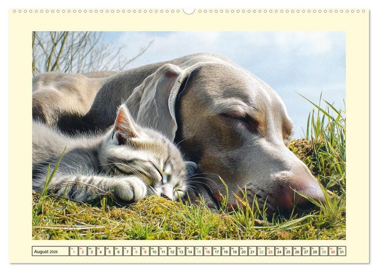 Produktbild: Edle Weimaraner. Loyale Silberseelen im Licht der Natur (Wandkalender 2026 DIN A2 quer), CALVENDO Monatskalender