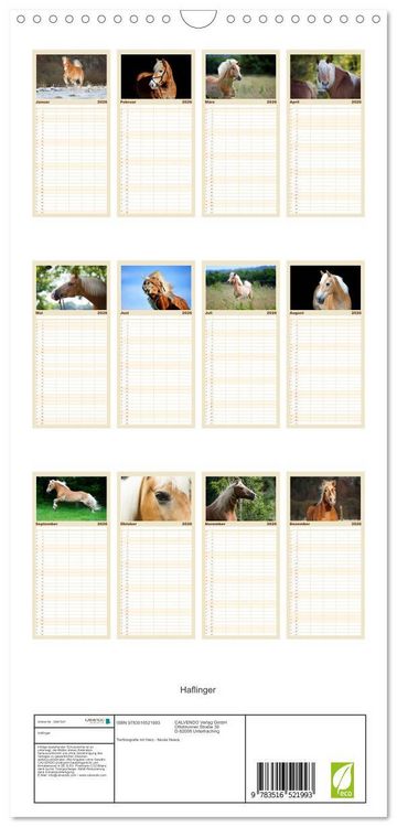 Produktbild: Familienplaner 2026 - Haflinger mit 5 Spalten (Wandkalender, 21 x 45 cm) CALVENDO
