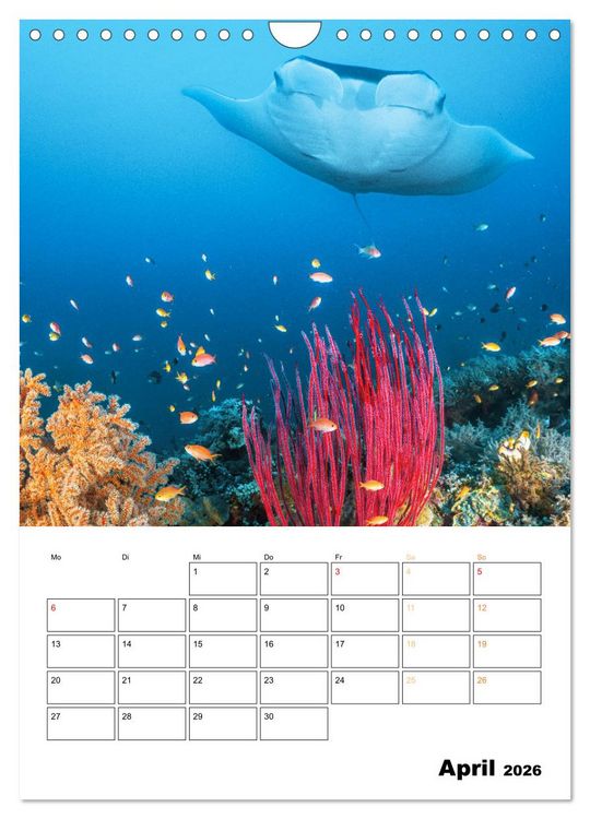 Produktbild: Farbrausch unter Wasser: Fische am Riff (Wandkalender 2026 DIN A4 hoch), CALVENDO Monatskalender