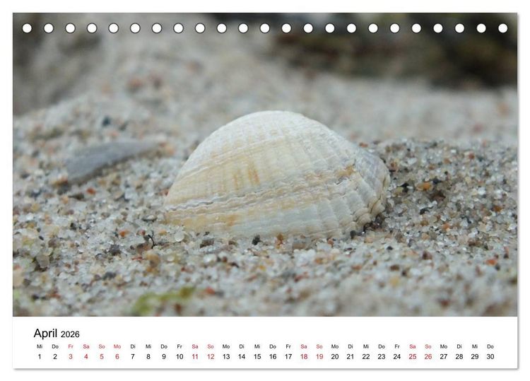 Produktbild: L&uuml;becker Bucht (Tischkalender 2026 DIN A5 quer), CALVENDO Monatskalender