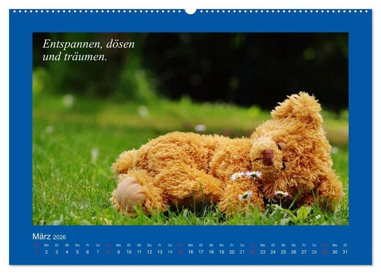 Produktbild: Sommer im Teddy-Land. B&auml;r und Freunde (Wandkalender 2026 DIN A2 quer), CALVENDO Monatskalender