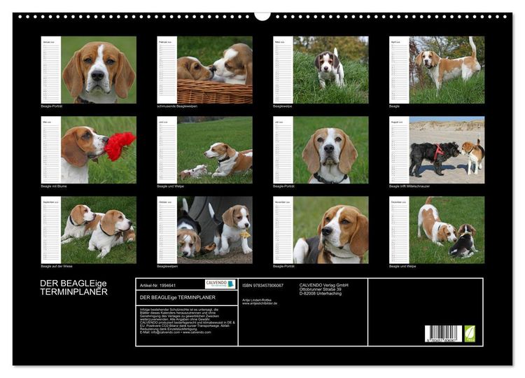 Produktbild: DER BEAGLEige TERMINPLANER (Wandkalender 2026 DIN A2 quer), CALVENDO Monatskalender
