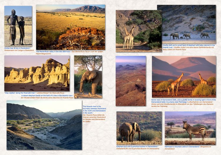 Produktbild: Das komplette Kartenset NAMIBIA Plus (4-teilig)