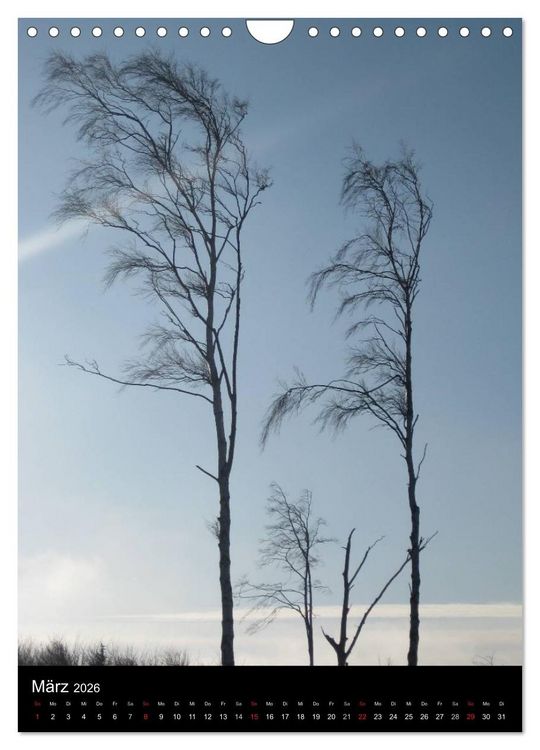 Produktbild: Ostseeblicke (Wandkalender 2026 DIN A4 hoch), CALVENDO Monatskalender