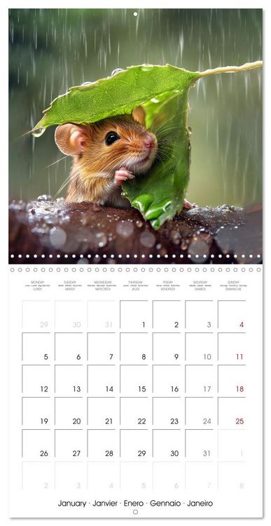 Produktbild: WILDLIFE IN THE ENCHANTED FOREST (Wall Calendar 2026 12 &times; 12 Inch) CALVENDO 12 Month Wall Calendar