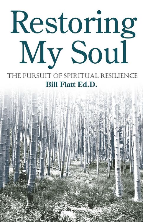 Produktbild: Restoring My Soul