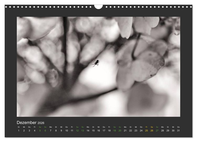 Produktbild: Pflanzen in Schwarz und Wei&szlig; (Wandkalender 2026 DIN A3 quer), CALVENDO Monatskalender