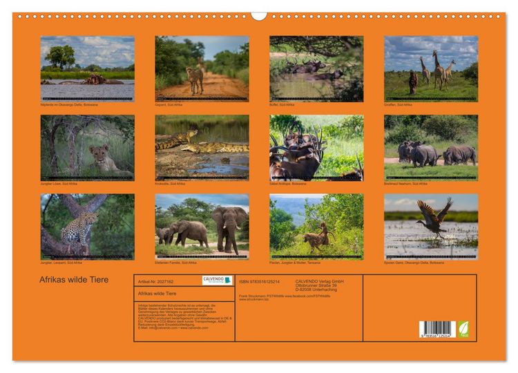 Produktbild: Afrikas wilde Tiere (Wandkalender 2026 DIN A2 quer), CALVENDO Monatskalender