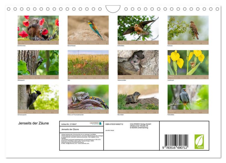 Produktbild: Jenseits der Z&auml;une (Wandkalender 2026 DIN A4 quer), CALVENDO Monatskalender