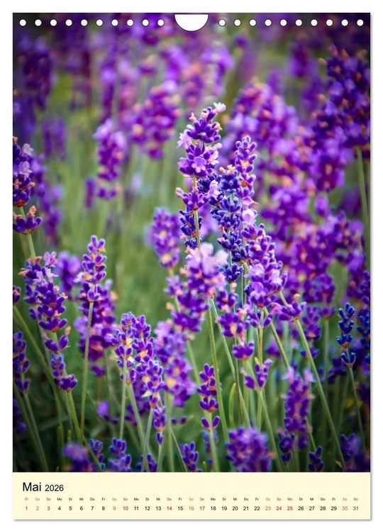 Produktbild: Provence Lavendel Paradies (Wandkalender 2026 DIN A4 hoch), CALVENDO Monatskalender