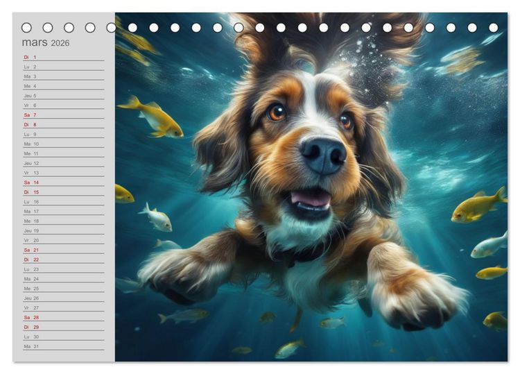 Produktbild: Chiens : les nageurs intr&eacute;pides (Calendrier de bureau 2026 DIN A5 vertical), CALVENDO calendrier mensuel