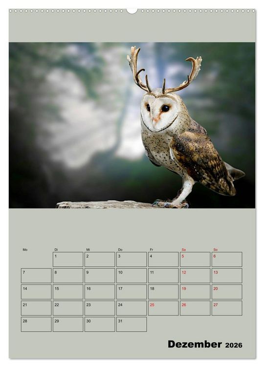 Produktbild: Seltsame Tiere - da stimmt doch was nicht... (hochwertiger Premium Wandkalender 2026 DIN A2 hoch), Kunstdruck in Hochglanz