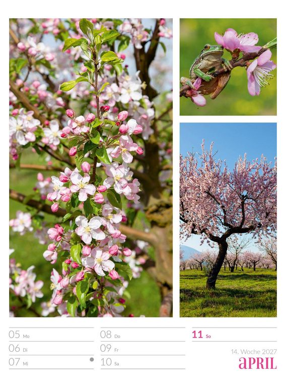 Produktbild: Farben der Natur Wochenplaner Kalender 2027
