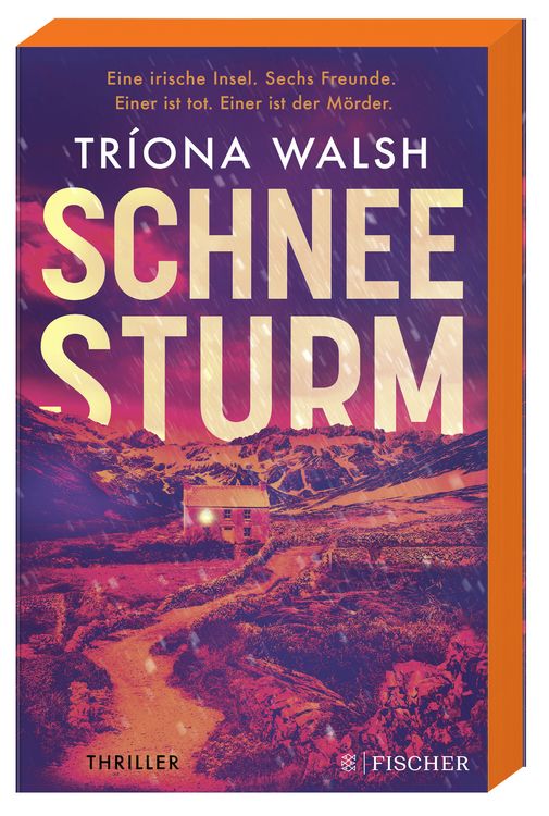 Produktbild: Schneesturm