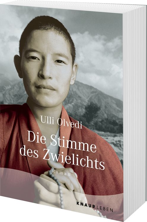 Produktbild: Die Stimme des Zwielichts