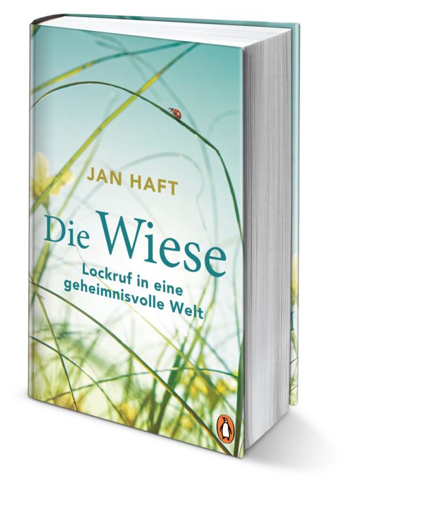 Produktbild: Die Wiese