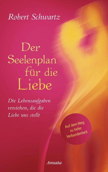 Produktbild: Der Seelenplan f&uuml;r die Liebe